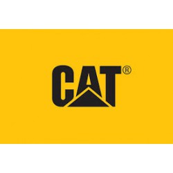 Cat filter 480-4313
